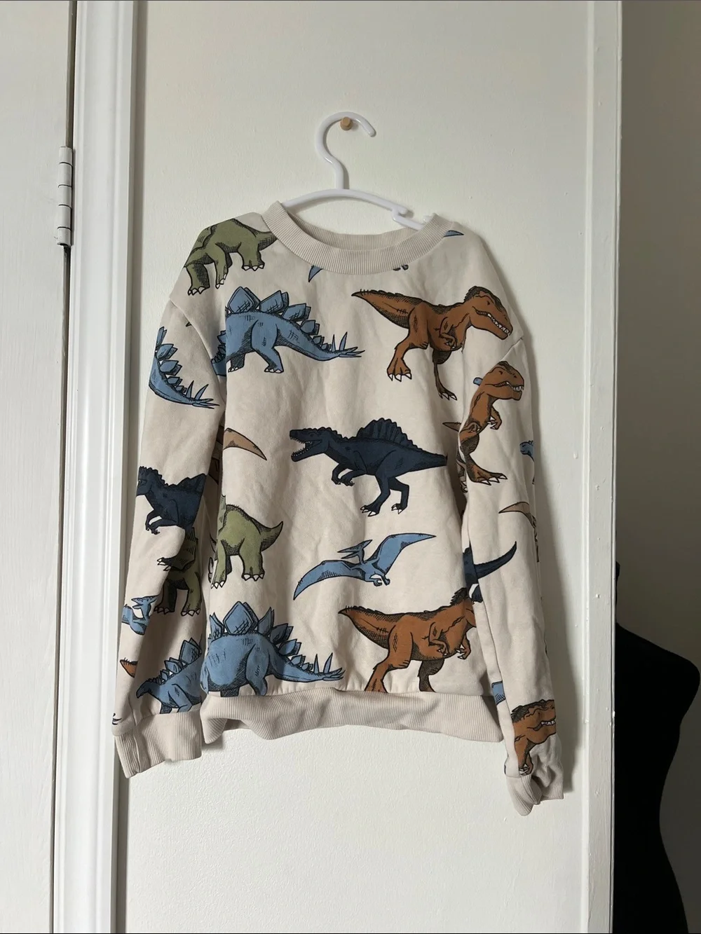 H&M Kids Dinosaur Print Sweatshirt 6X/7 Crewneck Pullover